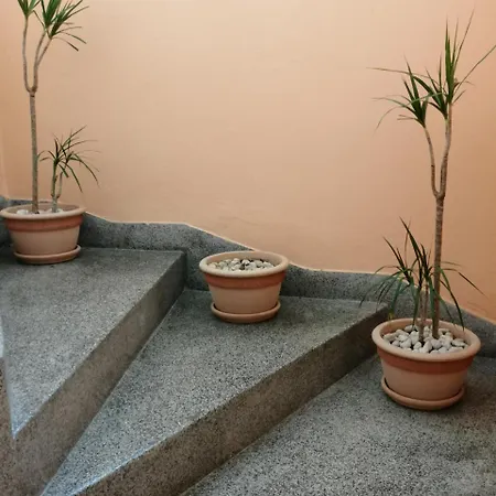 Apartment Singa